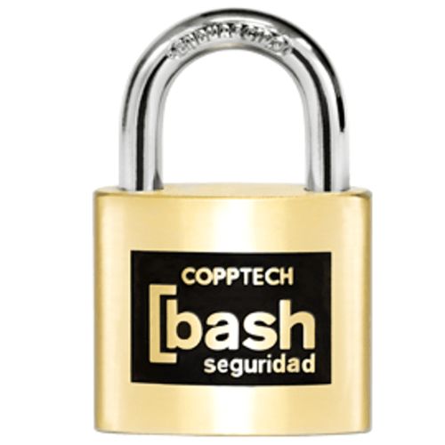 candado bash (1)